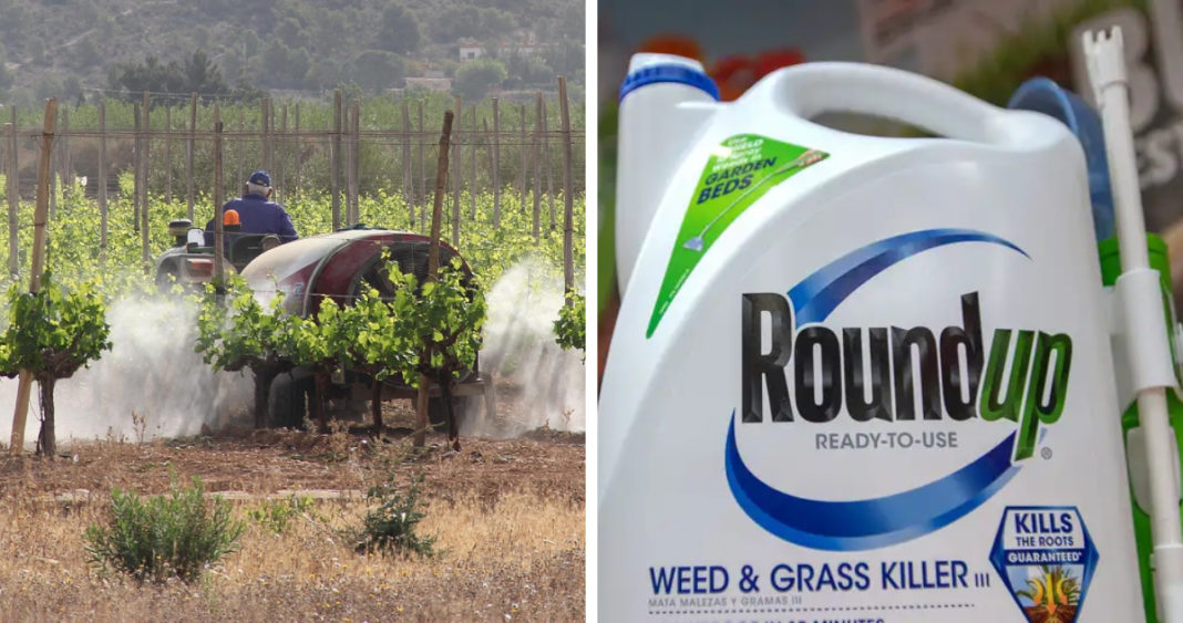 Bayer/Monsanto enfrenta demandas por cáncer ligado a herbicida Roundup en Chile