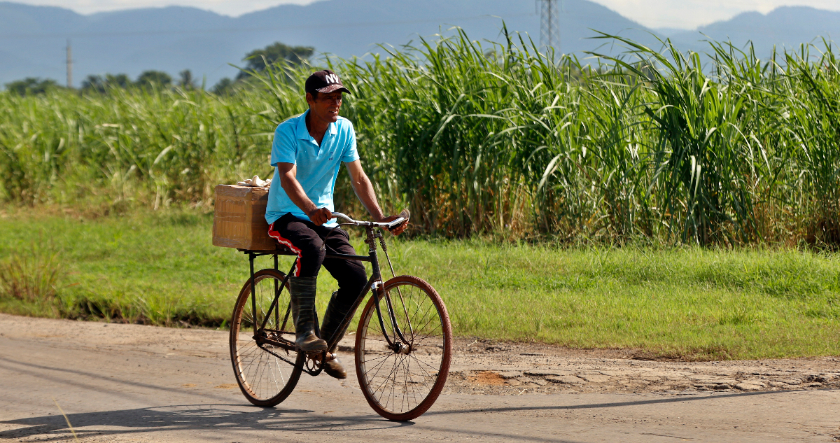 Caída Histórica de la Producción Azucarera Cubana: Un Golpe Devastador a la Economía Nacional