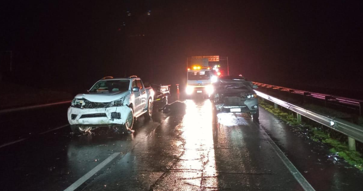 Caos en la Ruta 5 Sur: 120 vacunos causan múltiples colisiones y dejan 20 animales muertos