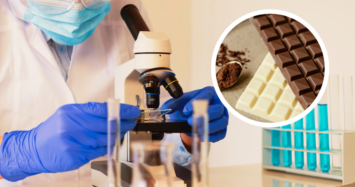 Científicos crean chocolate de sabor único con bacterias y hongos de laboratorio