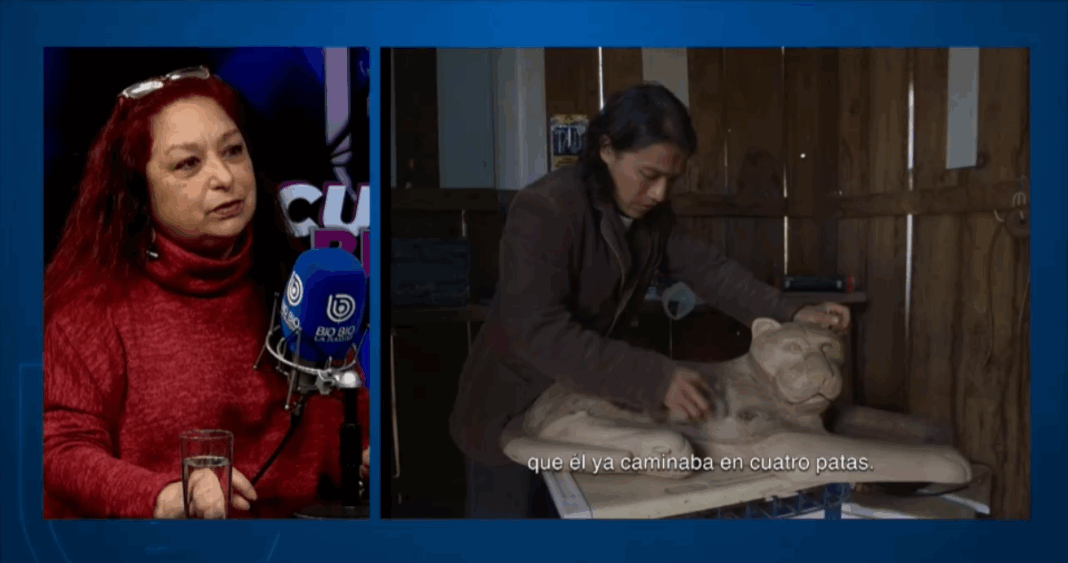 Cine Indígena: Voces Auténticas y Miradas Diversas
