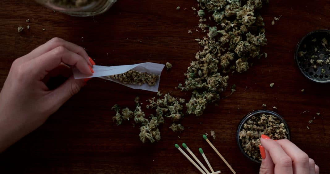 Cómo el Aumento de la Potencia del Cannabis Está Vinculado a un Mayor Riesgo de Psicosis y Esquizofrenia