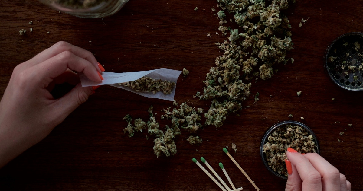 Cómo el Aumento de la Potencia del Cannabis Está Vinculado a un Mayor Riesgo de Psicosis y Esquizofrenia