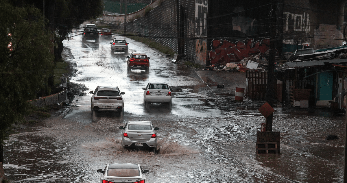 Cómo la Biodiversidad Urbana Puede Ayudarnos a Adaptarnos al Cambio Climático