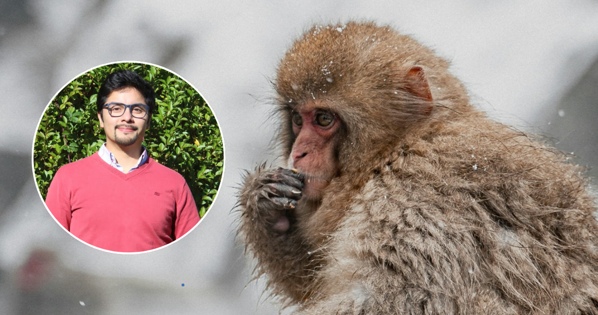 Descubren que los primeros primates surgieron en climas fríos, no en selvas tropicales