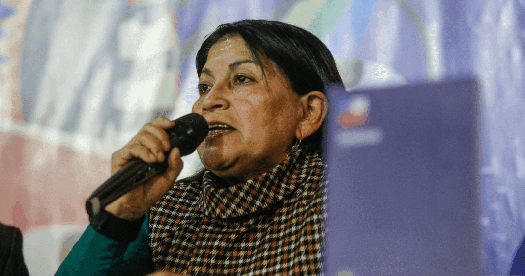 Elisa Loncon: La Voz Indígena y Mapuche que Desafía el Statu Quo en el Senado