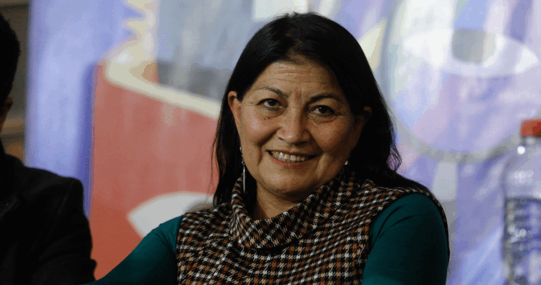 Elisa Loncon, la académica que podría representar a La Araucanía en el Senado
