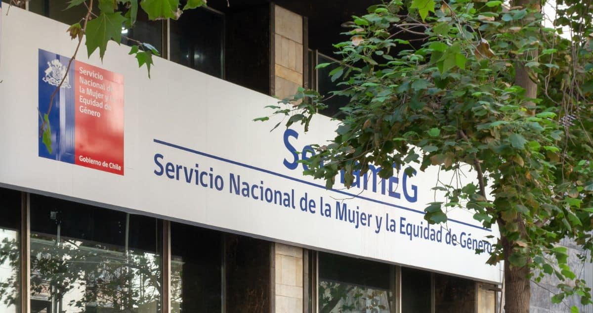 Escándalo en el SernamEG: Directora Enfrenta Querella por Delito Informático