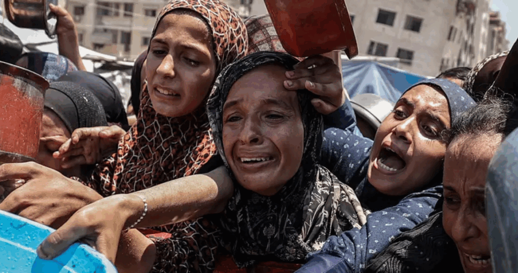 Hambruna en Gaza: La ONU denuncia una crisis humanitaria devastadora