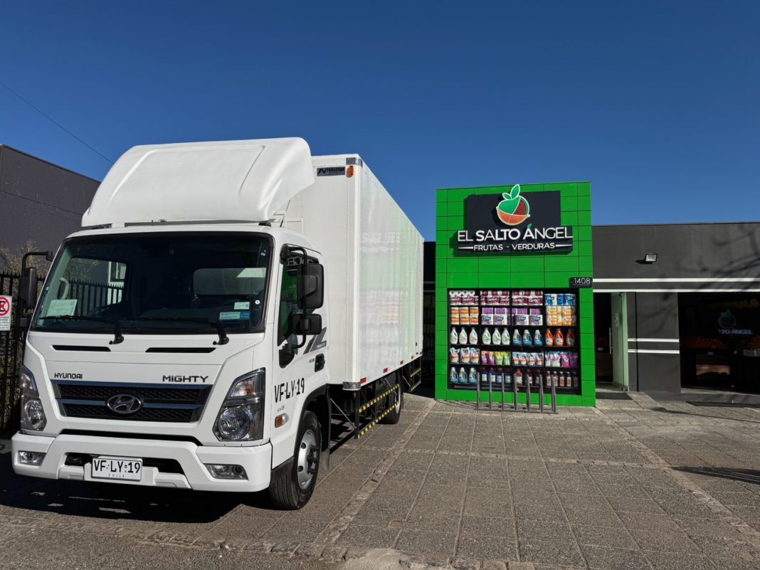 Hyundai Mighty EX8 3.9: La Solución Versátil y Confiable para la Distribución de Frutas y Verduras