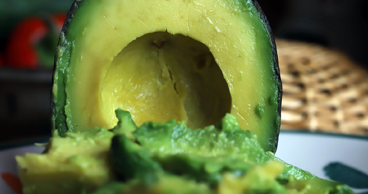 La Palta Chilena: Un Producto de Excelencia con Rigurosos Controles Fitosanitarios