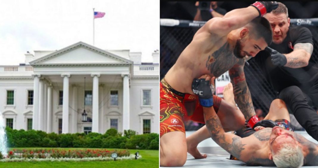 La UFC llevará su espectáculo a la Casa Blanca en el 2026