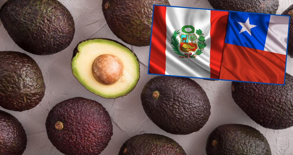 Perú defiende la calidad de su palta ante acusaciones de contaminación por cadmio