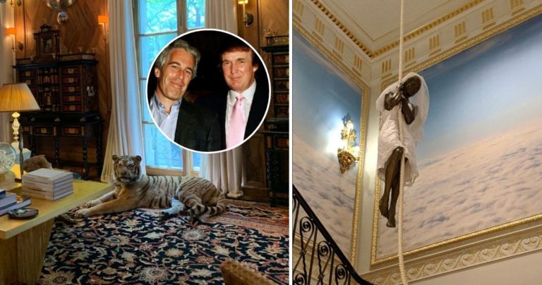 Revelados los Oscuros Secretos de la Mansión de Jeffrey Epstein: Un Mundo de Lubricantes, Tigres y Conexiones Influyentes
