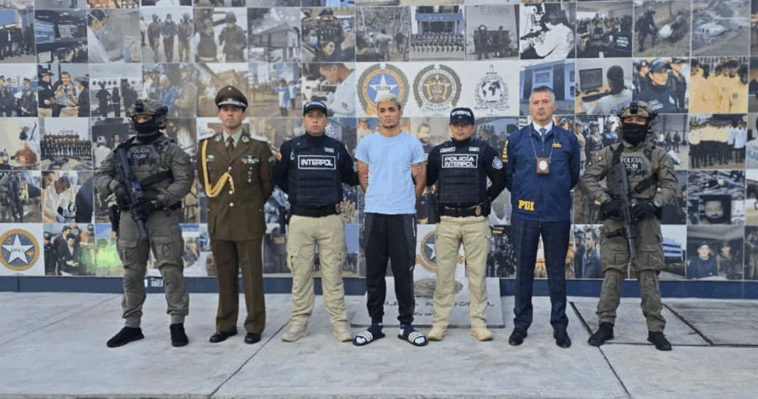 Sicario del