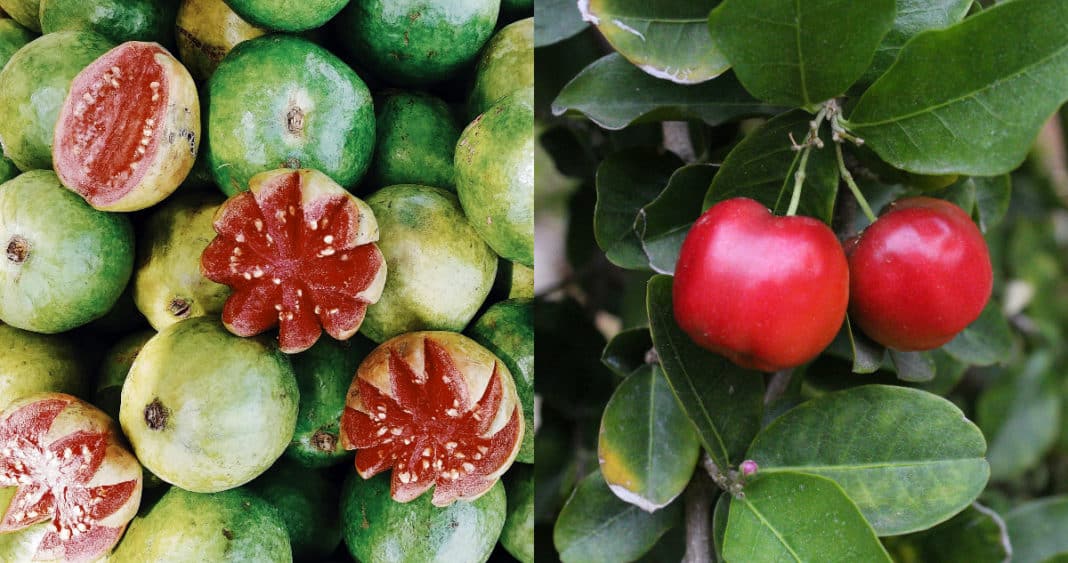 7 Frutas Exóticas Que Superan a la Naranja en Vitamina C
