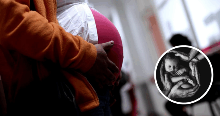 Bebé Rechazado por Madre Francesa: La Cruda Realidad del Vientre de Alquiler