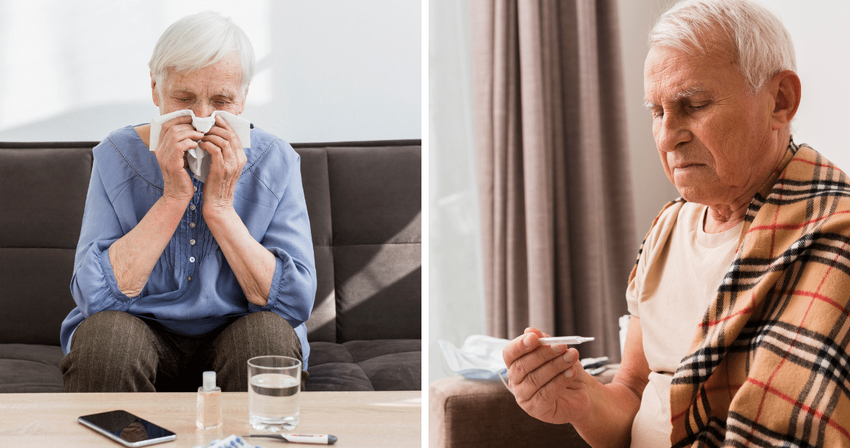Cómo la Apolipoproteína D Hace que la Gripe Sea Más Mortal para los Adultos Mayores