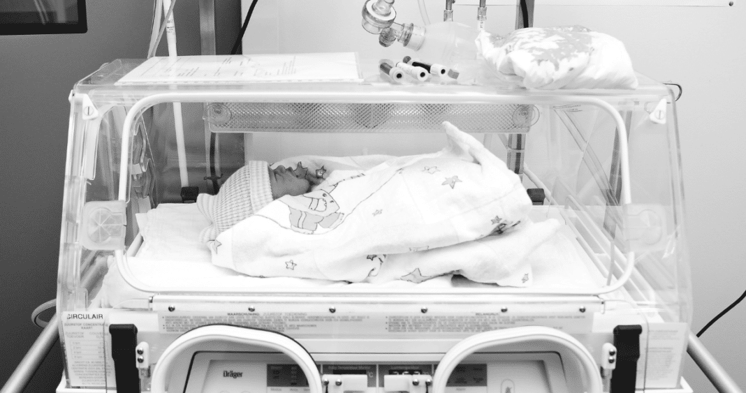 Cómo la Fonoaudiología Transforma la Vida de los Bebés Prematuros
