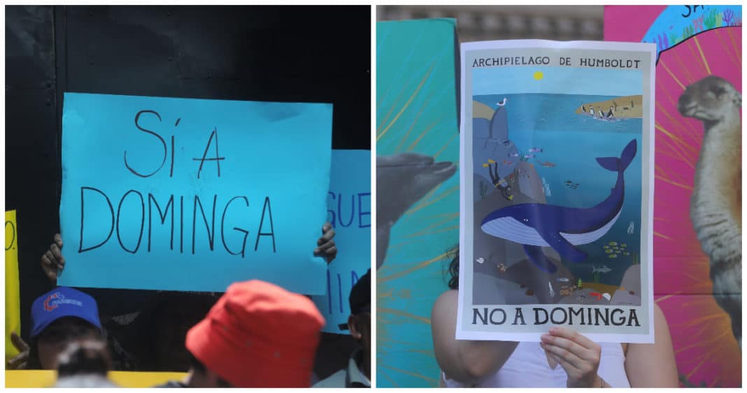 Dominga: La Batalla Continúa por un Desarrollo Sostenible