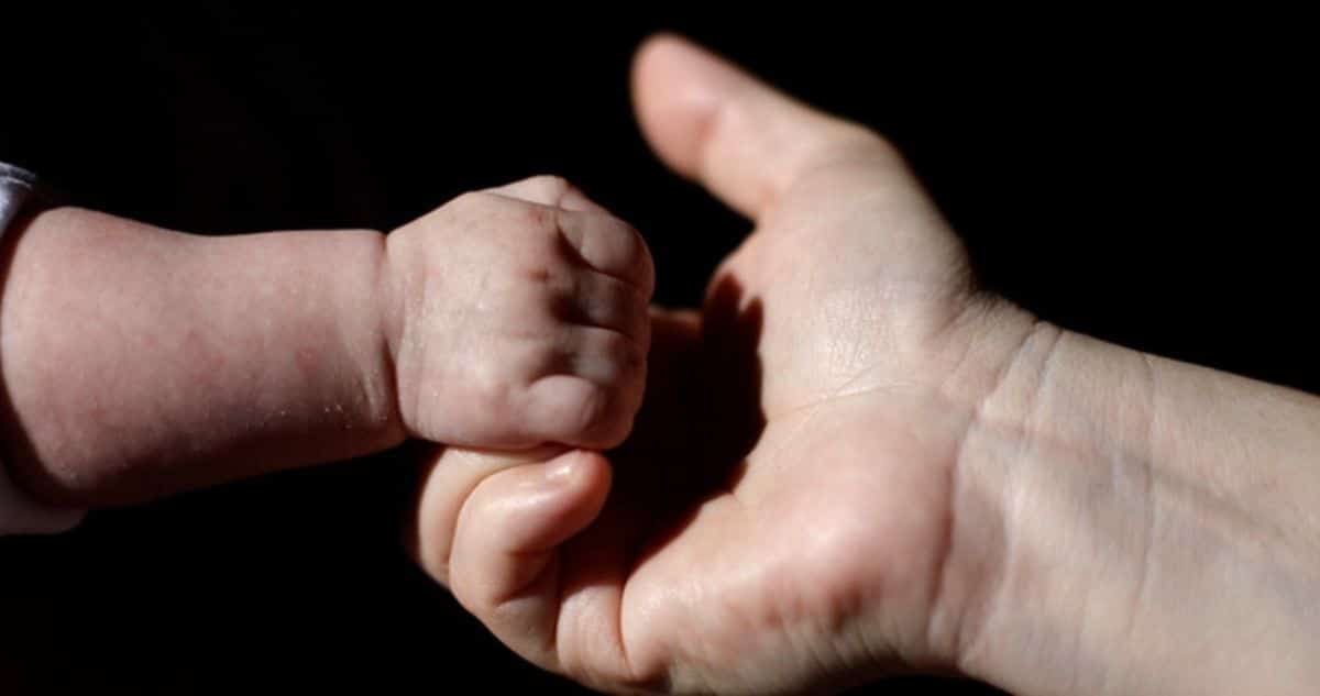 Familias de Acogida: La Solución para Más de 300 Niños en Residencias de La Araucanía