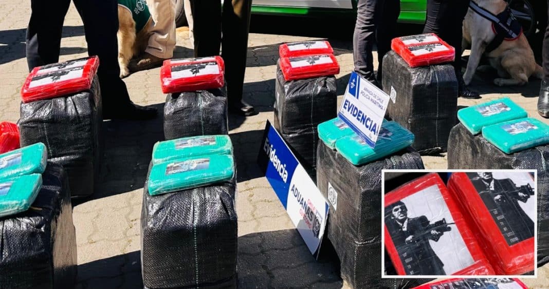 Incautan 850 kilos de marihuana en Puerto San Antonio: Destino era República Dominicana