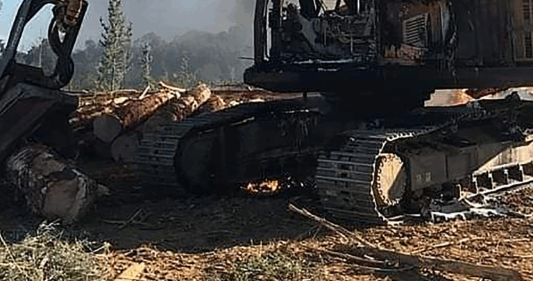 Incendio Sospechoso de Maquinaria Forestal en Mariquina: Autoridades Investigan Posible Intervención de Terceros