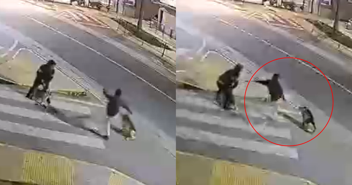 Indignación en Villa Alemana: Hombre golpea brutalmente a perro comunitario y le causa traumatismo craneal