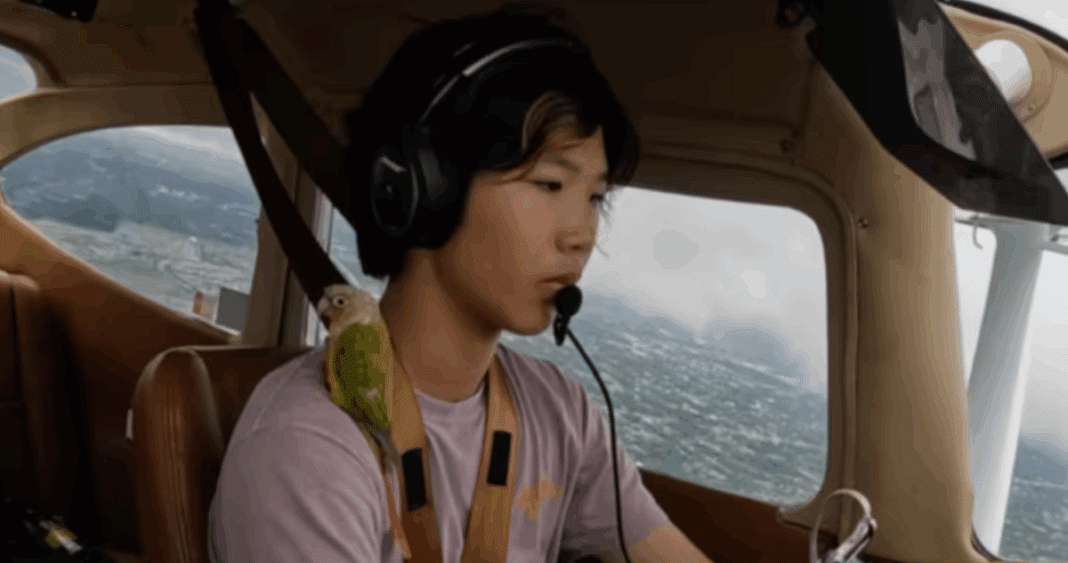 Influencer Ethan Guo Enfrenta Consecuencias Tras Aterrizaje Ilegal en la Antártica