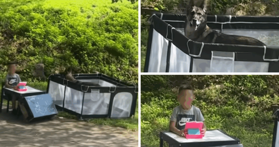 Niño crea atractiva atracción de