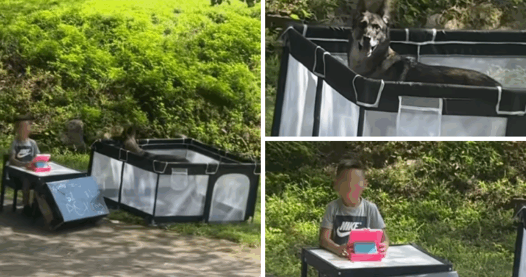 Niño crea atractiva atracción de
