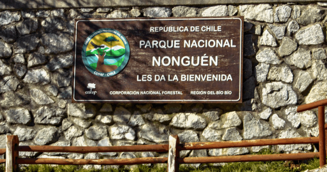Parque Nacional Nonguén: Cámaras Trampa Revelarán Secretos de la Fauna Silvestre