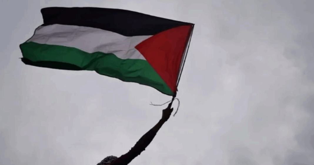 Portugal Reconoce Oficialmente al Estado de Palestina: Un Paso Decisivo hacia la Paz