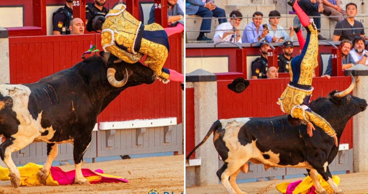 Torero Veterano Sufre Grave Cornada en Emblemático Evento Taurino Español