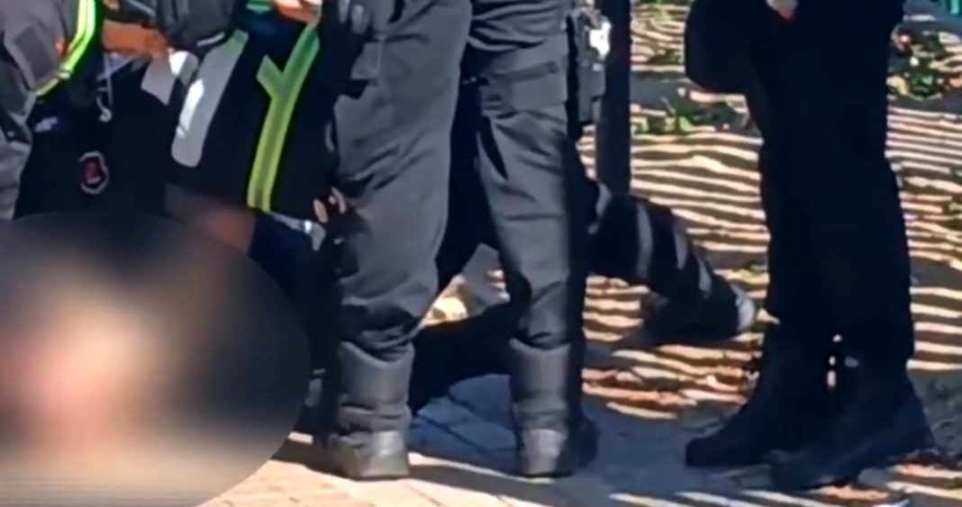 Tragedia en Mallplaza: Hombre con esquizofrenia muere por estrangulamiento durante intervención de guardias