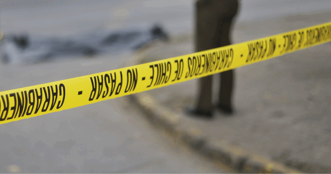 Trágica Muerte de Menor Atropellada por Conductor Ebrio en Pucón