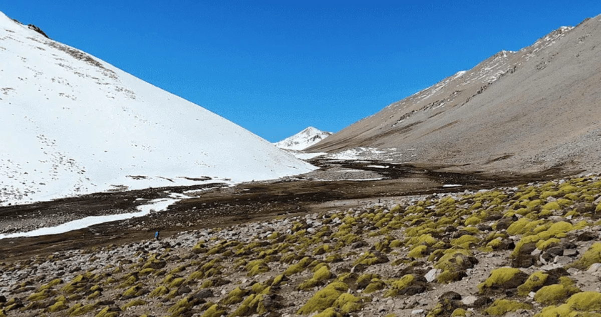 Tribunal Anula Declaración de Santuario de la Naturaleza del Río Sasso por Omisión del Ministerio del Medio Ambiente