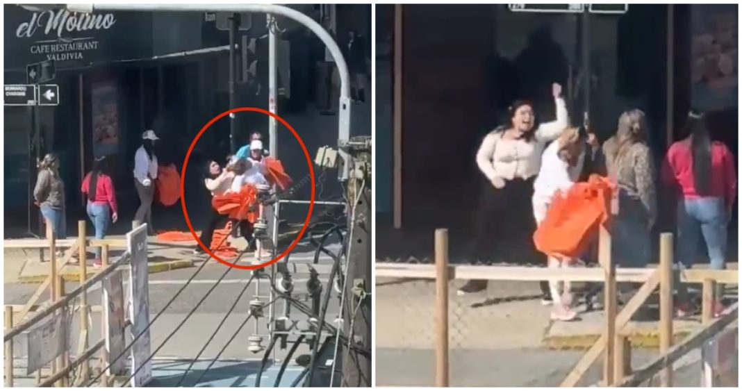 Violenta Agresión a Brigadista de Campaña en Valdivia: Detenida Mujer Tras Incidente
