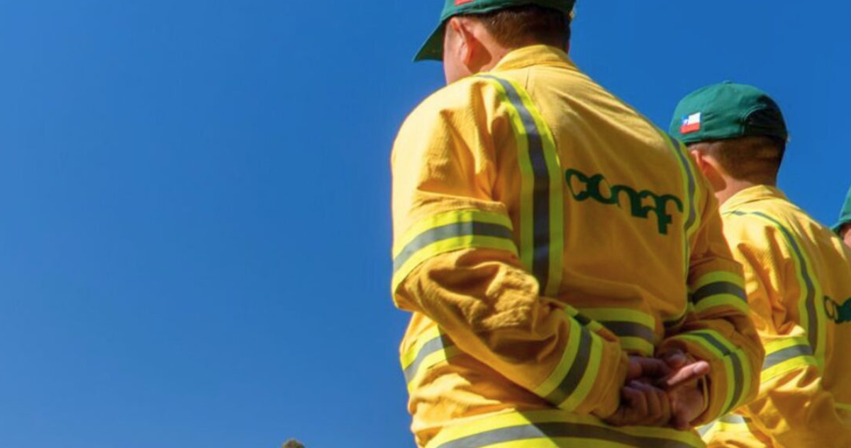 Alerta Roja en Bío Bío: Conaf Prohíbe Uso de Fuego por Riesgo de Incendios Forestales