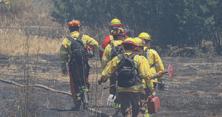 Araucanía se Prepara: Plan Integral para Combatir Incendios Forestales en 2025-2026
