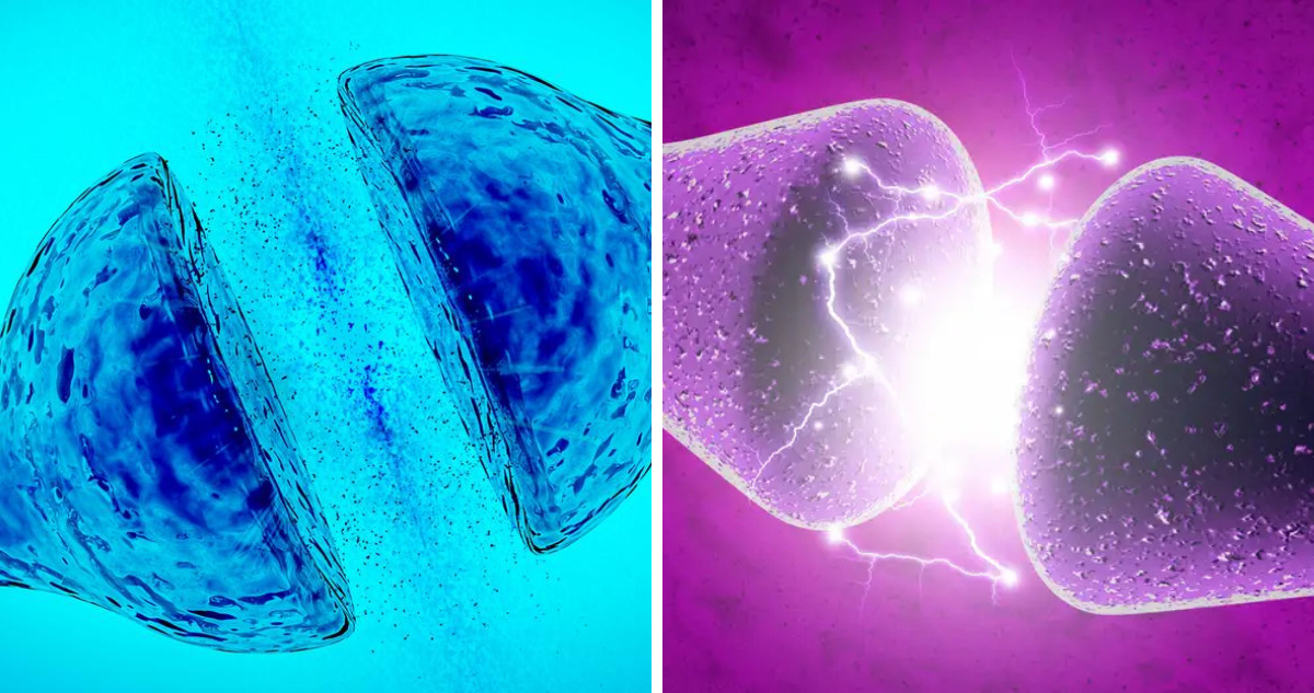 Científicos crean neurona artificial que imita a las reales con asombrosa precisión