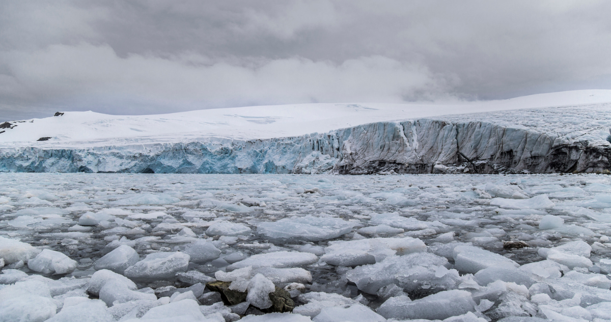 Combatiendo las Fake News sobre la Ciencia Antártica: Un Desafío Urgente en la Era Digital
