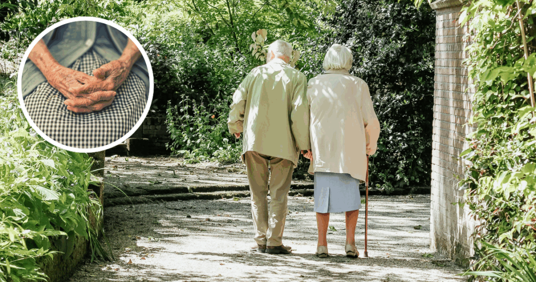 Cómo Mantener la Autonomía de los Adultos Mayores: Un Programa Clave para Enfrentar el Envejecimiento Poblacional