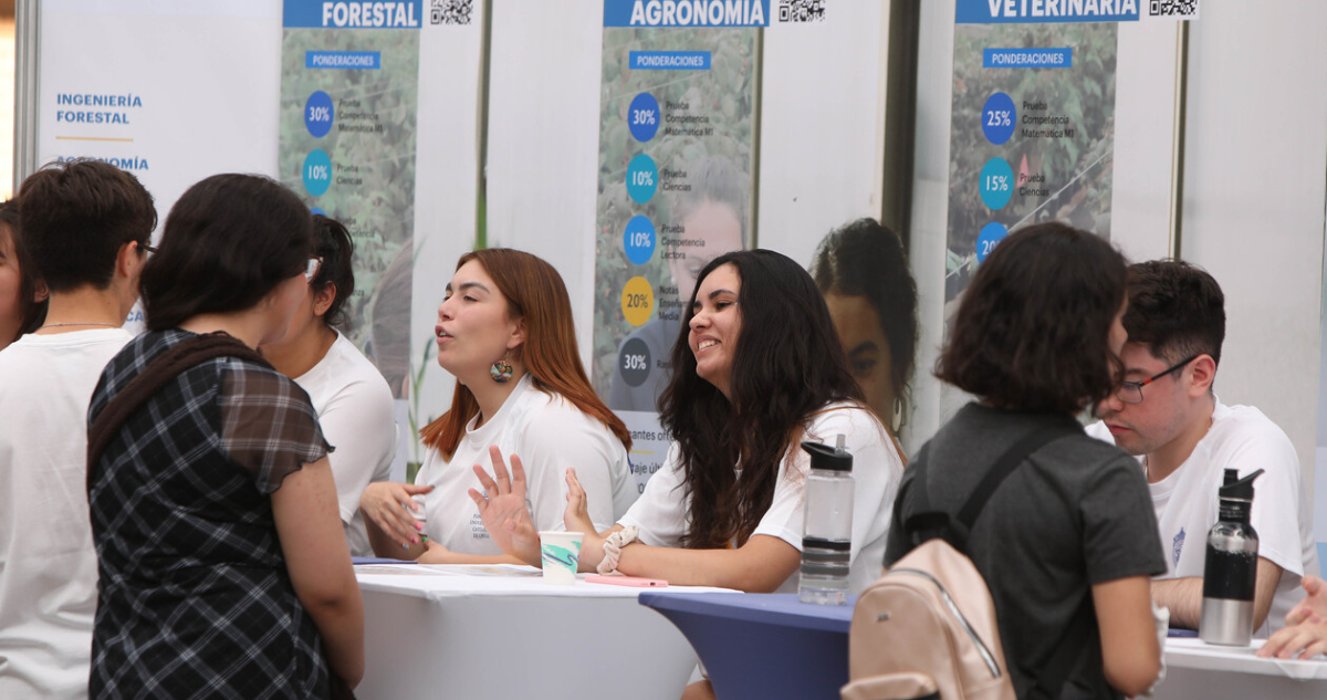 Cómo Obtener la Beca Bicentenario: Requisitos y Pasos para Postular