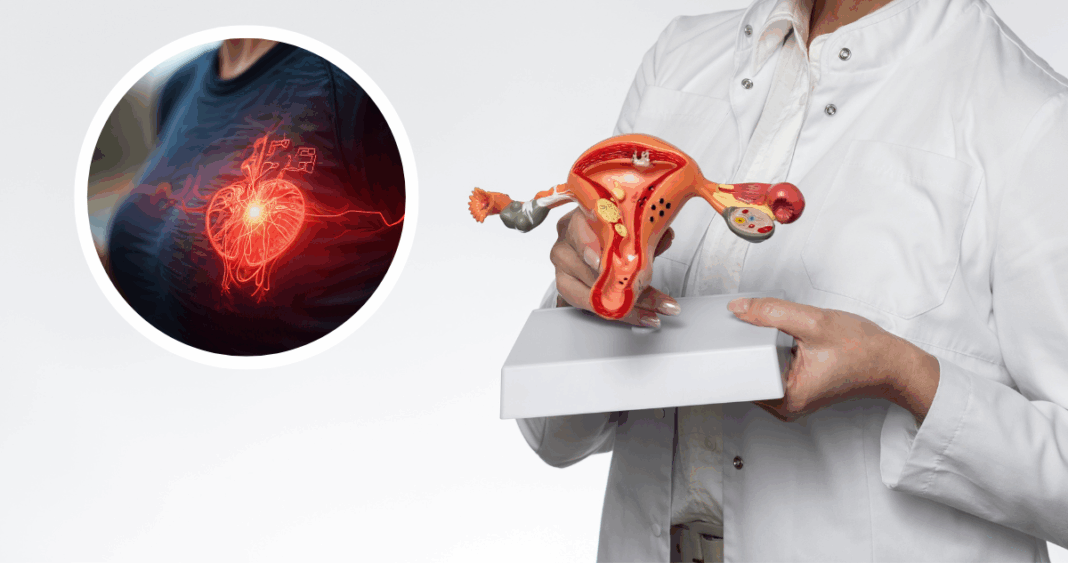 Cómo la Menopausia Impacta Silenciosamente la Salud Cardiovascular de las Mujeres
