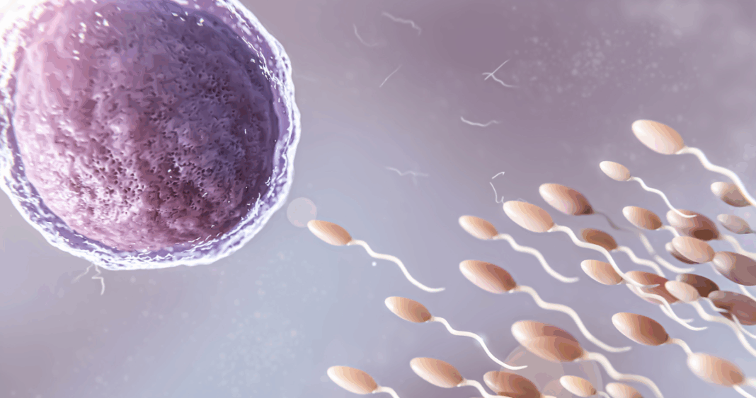 Cómo las mutaciones genéticas en los espermatozoides aumentan con la edad de los hombres
