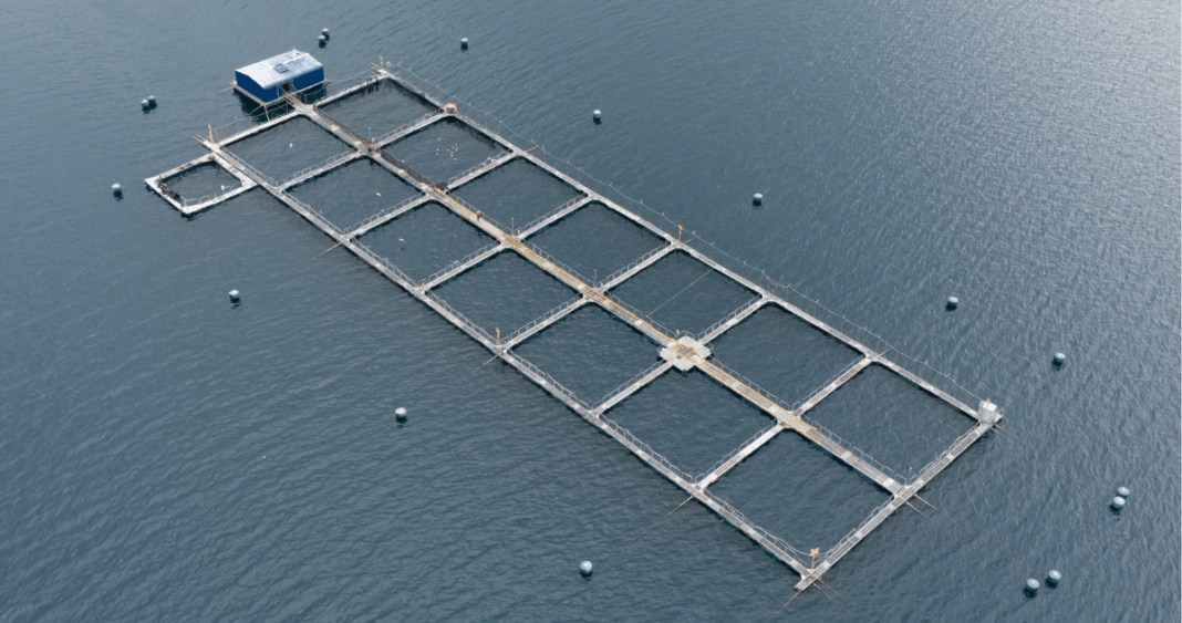 ._temp_Comunidades Afectadas Buscan Detener Proyecto Salmonero en Río San Pedro Comunidades Afectadas Buscan Detener Proyecto Salmonero en Río San Pedro