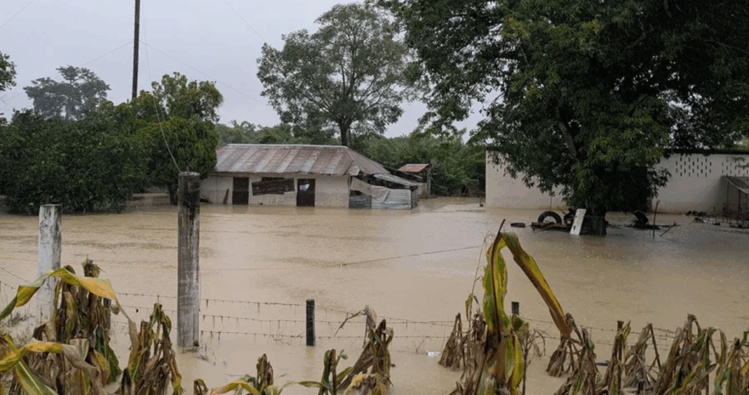 Devastadoras Lluvias en México Dejan Decenas de Muertos y Miles de Damnificados