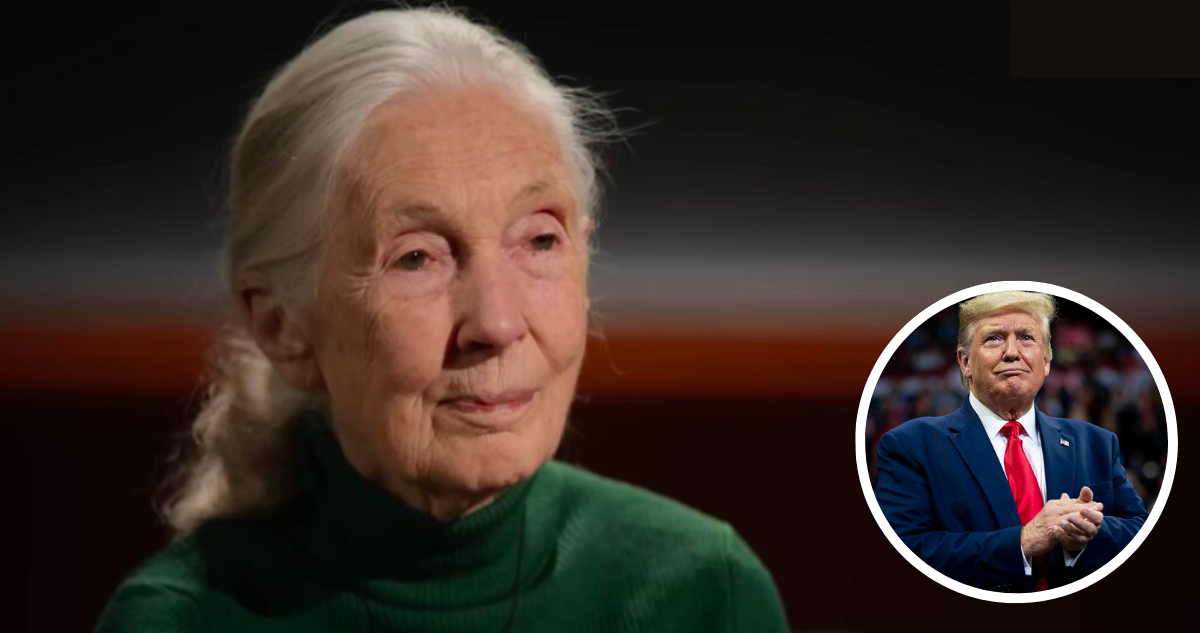 El Último Deseo de Jane Goodall: Enviar a Líderes Mundiales al Espacio