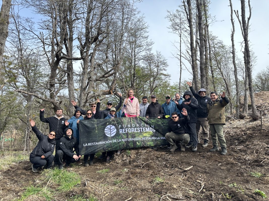 Epson y Reforestemos: Sembrando Esperanza en la Patagonia Chilena